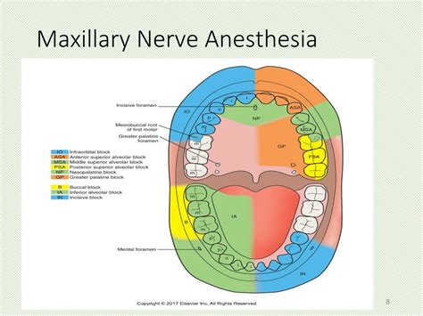 sdn dental|dental anesthesiology sdn.